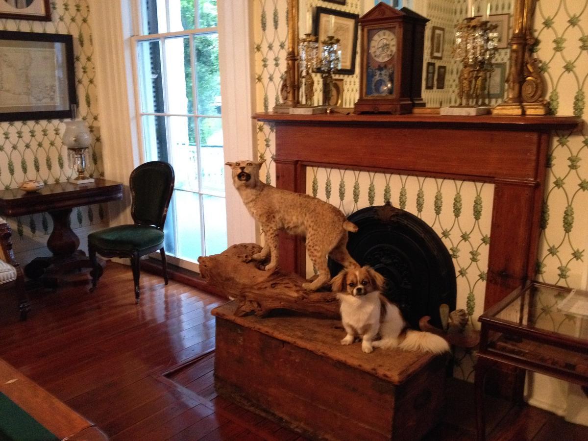 Stone House Musical B&B Natchez Buitenkant foto