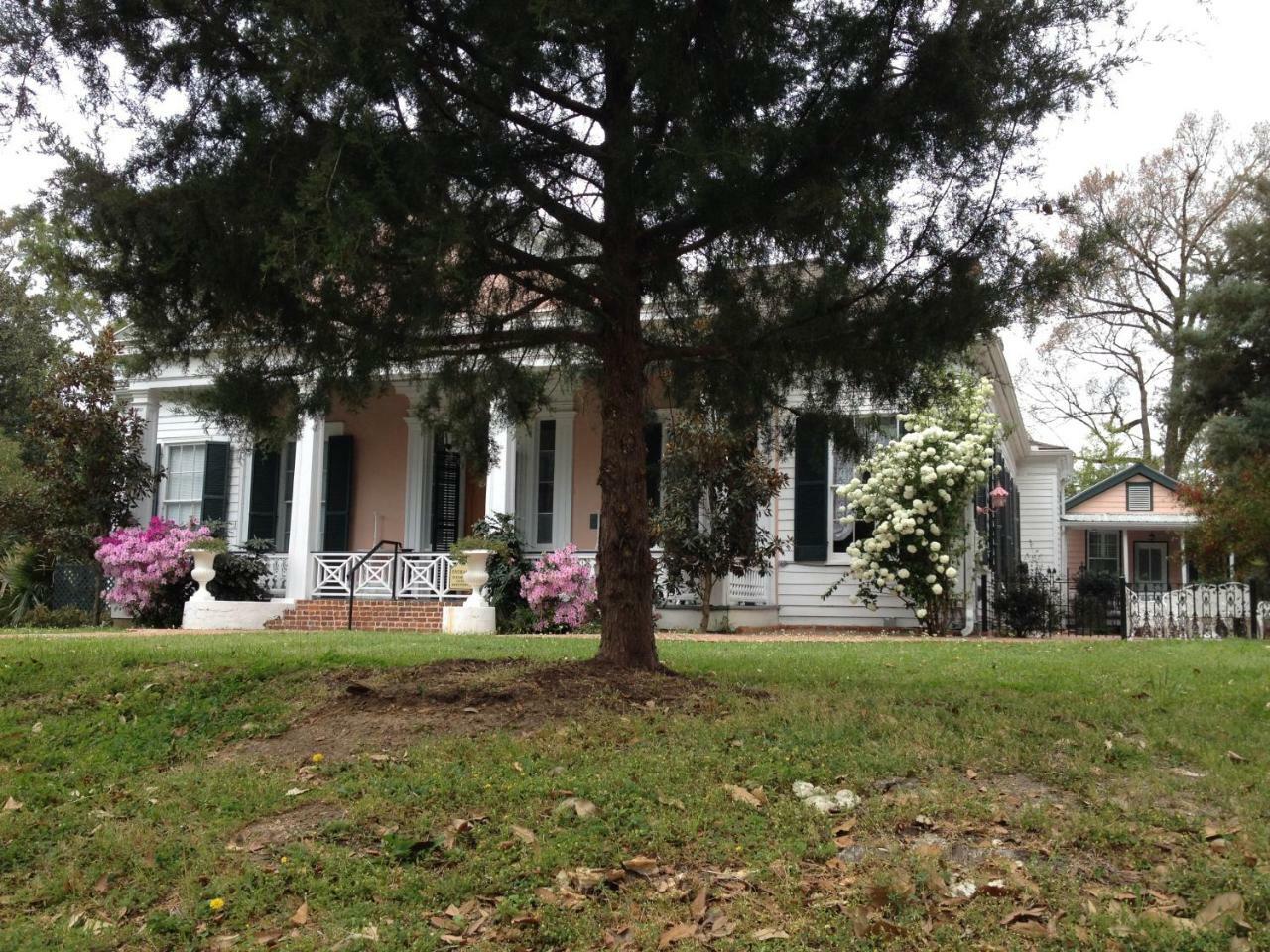 Stone House Musical B&B Natchez Buitenkant foto